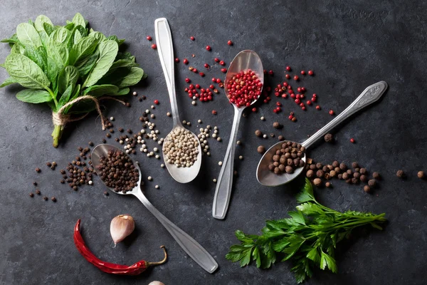 Pepper and salt spices — Stock Photo, Image