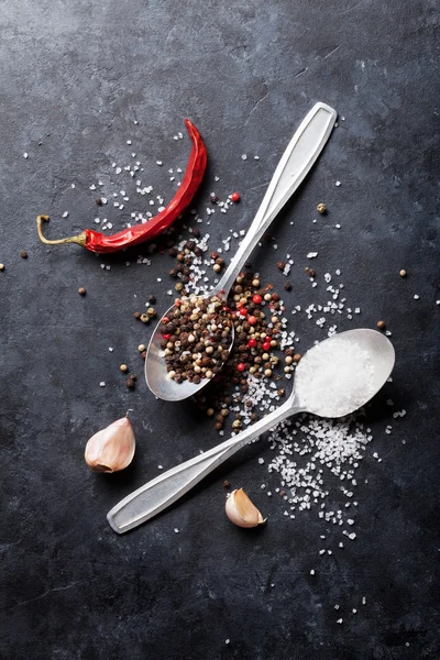大蒜和辣椒和盐香料 — 图库照片