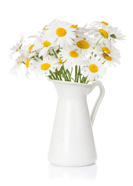 Chamomile flowers bouquet in pitcher — Stock Photo, Image