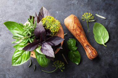 Harç taze Bahçe otlar