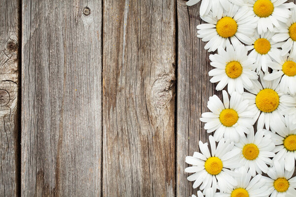 Chamomile flowers on wooden garden table