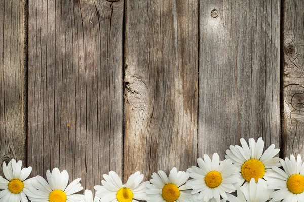 Kamillenblüten auf hölzernem Gartentisch — Stockfoto