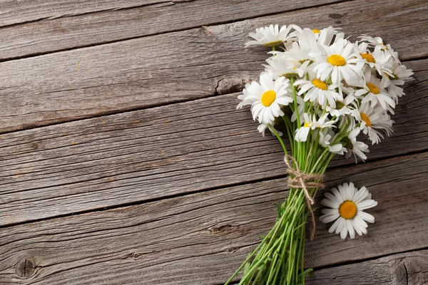 Lindas flores de camomila — Fotografia de Stock