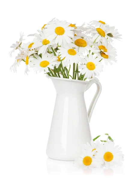 Chamomile flowers bouquet in pitche — Stock Photo, Image