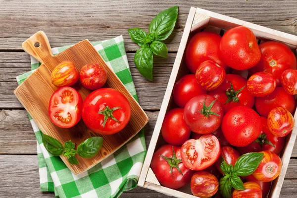 Tomates de jardim maduros frescos — Fotografia de Stock