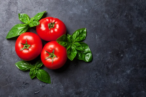 Verse rijpe tuin tomaten en basilicum — Stockfoto