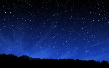 Gece gökyüzü ve orman