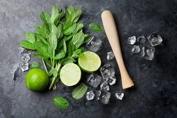 Mojito koktejlové ingredience — Stock fotografie