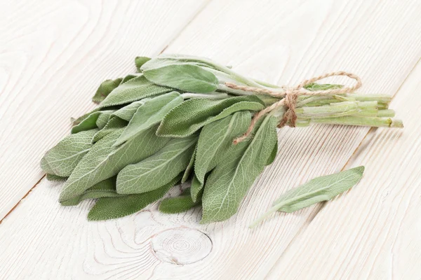 Bunch of garden sage herb — Stock Photo, Image