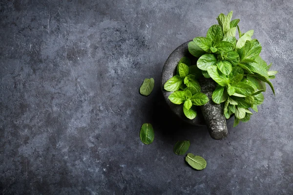 Feuilles de menthe fraîche au mortier — Photo