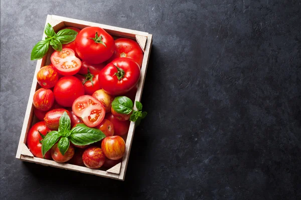 Verse rijpe tuin tomaten — Stockfoto