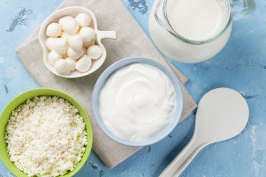 Ekşi krema, süt, peynir, yoğurt ve peyniri