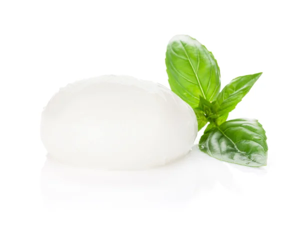 Mozzarella cheese and basil — Stock Photo, Image