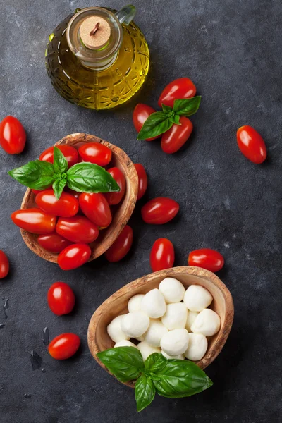 Queso mozzarella, tomates y albahaca — Foto de Stock