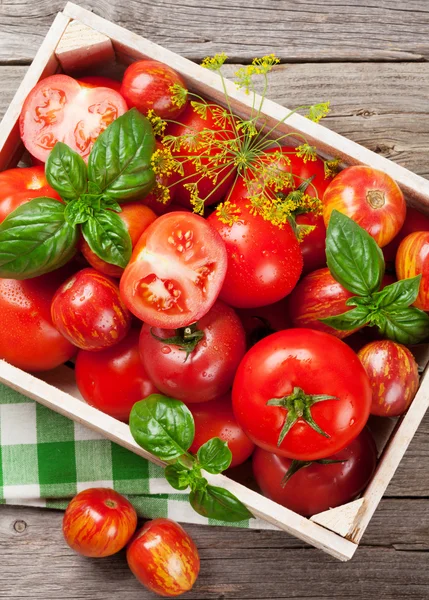 Tomates Jardín Frescos Albahaca Caja Madera Mesa Cocina — Foto de stock