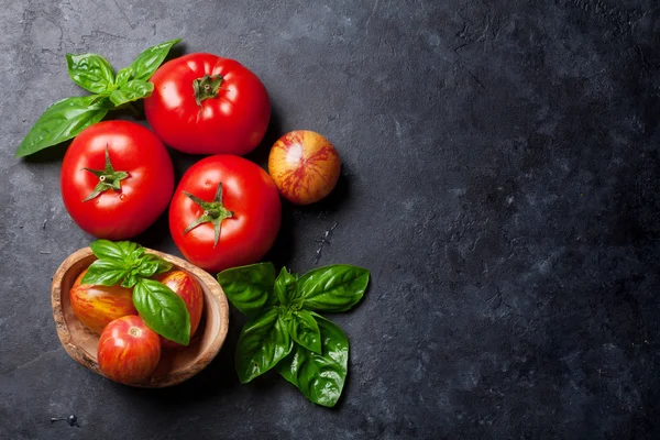 Verse rijpe tuin tomaten en basilicum — Stockfoto