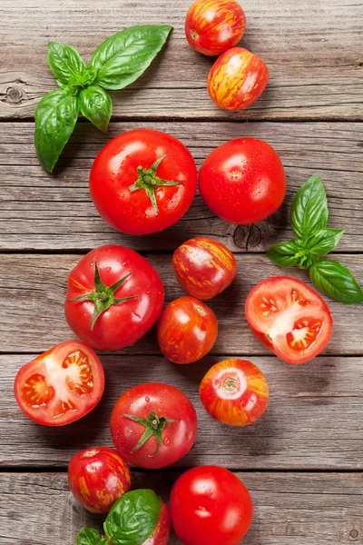 Tomates frescos de jardín maduros y albahaca —  Fotos de Stock