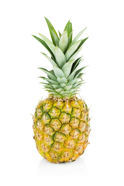 Kypsä ananas, isolaatti — kuvapankkivalokuva