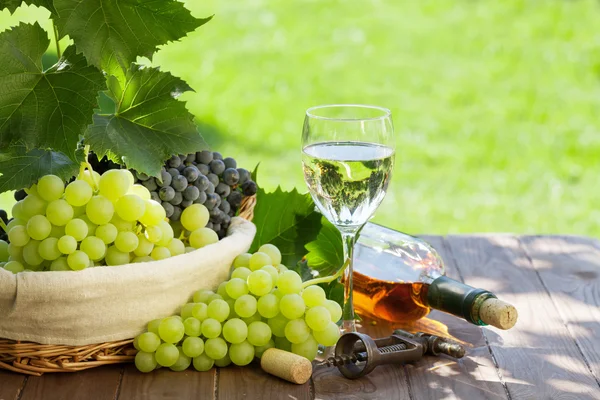 White wine bottle and glass — Stock Photo, Image