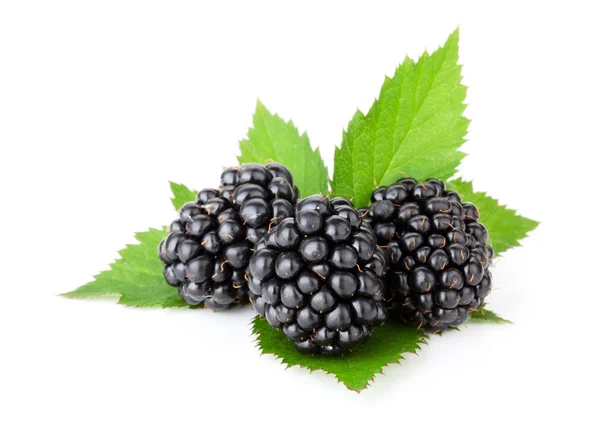 Three ripe blackberries with leaves — Stock Photo, Image