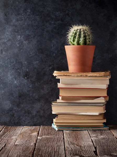 Libri e cactus davanti alla lavagna di gesso — Foto Stock