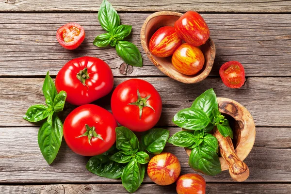 Verse rijpe tuin tomaten en basilicum — Stockfoto