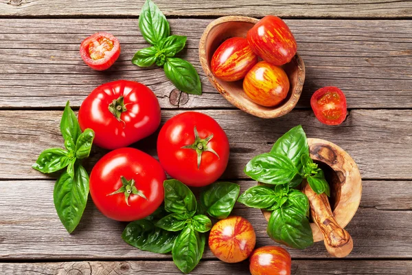 Tomates frescos de jardín maduros y albahaca —  Fotos de Stock