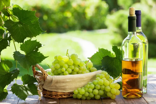 Vinho branco e uvas — Fotografia de Stock