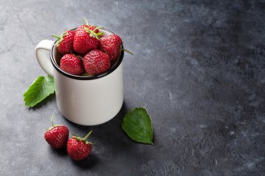 Taze Bahçe çilek Kupası