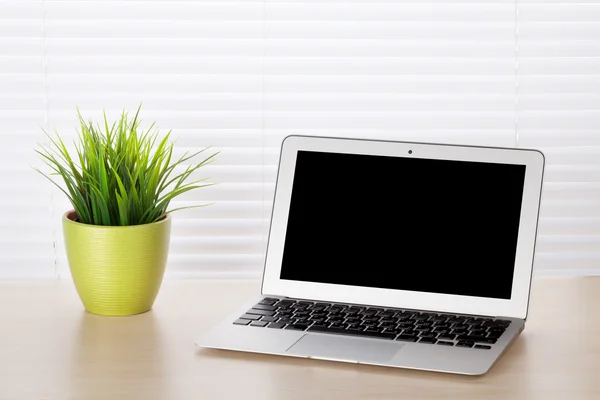 Office desk with laptop and plant — Stock Photo, Image