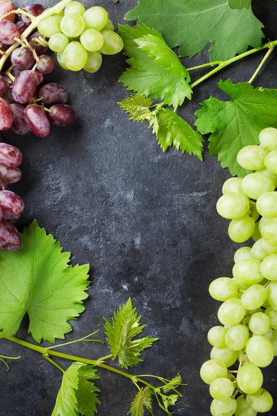 Vörös és fehér szőlő — Stock Fotó