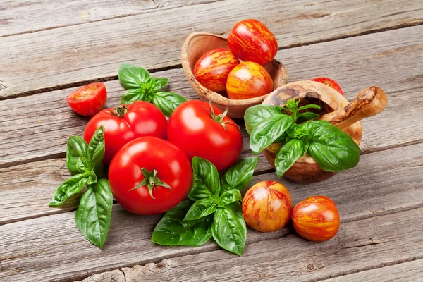 Tomates e manjericão — Fotografia de Stock