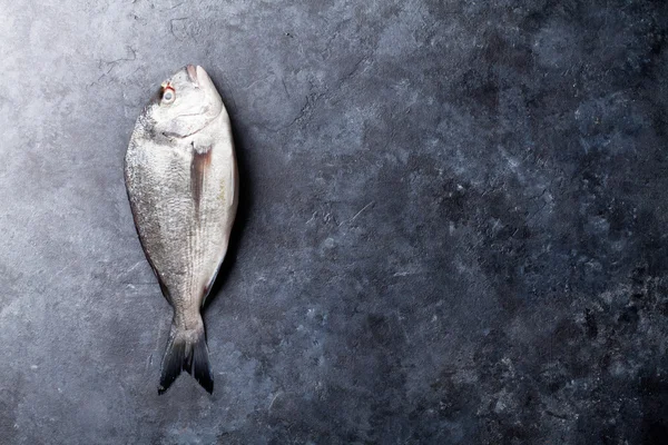 Rå dorado fisk — Stockfoto