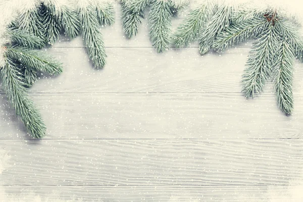Pohon cemara Natal — Stok Foto