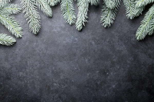 Abeto de Navidad y nieve — Foto de Stock