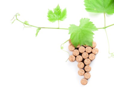 Şarap mantarlar üzüm şekil