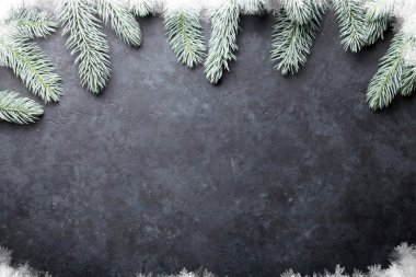 Noel köknar ağacı ve kar