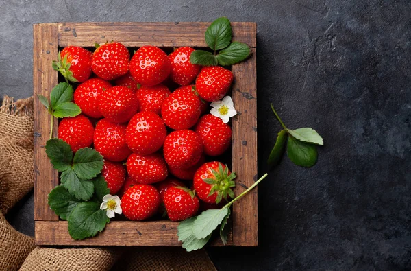 Reife Gartenerdbeere Schachtel Auf Steintisch Draufsicht Flach Lag Mit Kopierraum — Stockfoto