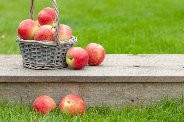 コピースペース付き木製屋外テーブルのバスケットに熟した庭のリンゴの果物 — ストック写真