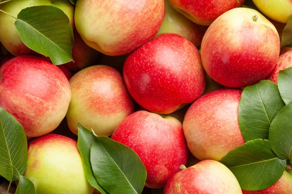Ripe Garden Apple Fruits Closeup Top View Flat Lay — Stock Photo, Image