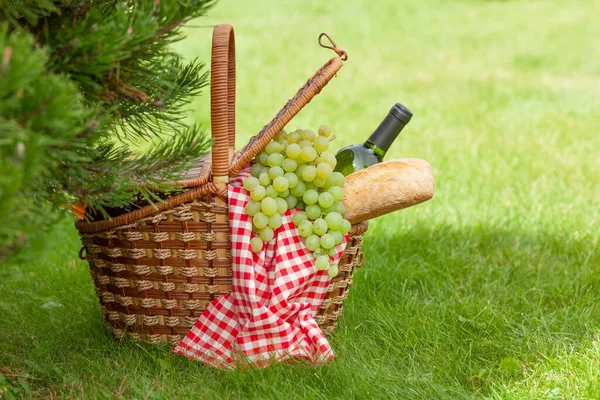 Picknickmand Met Wijn Druiven Stokbrood Zonnig Tuingras Met Kopieerruimte — Stockfoto