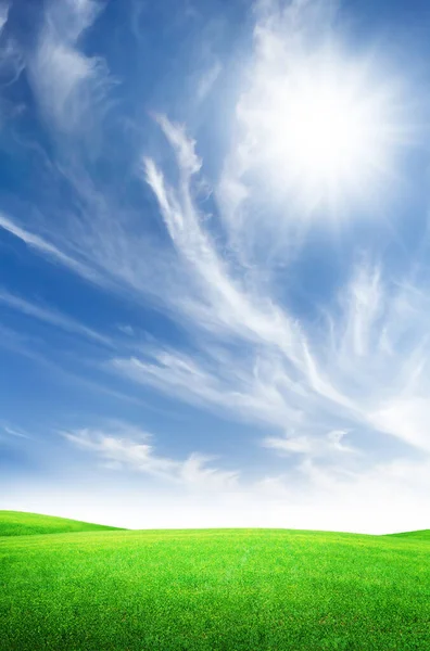 Groen Grasveld Blauwe Hemel Met Felle Zon Zomer Landschap Achtergrond — Stockfoto