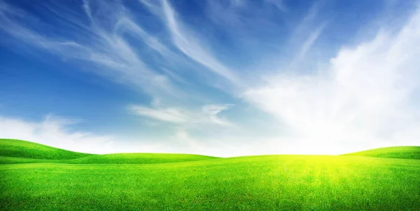 Grünes Gras Feld Und Blauer Himmel Mit Heller Sonne Sommer — Stockfoto