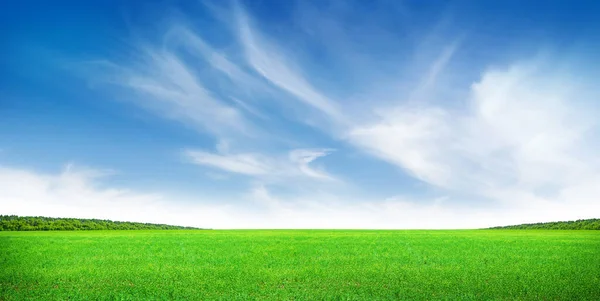緑の草原と明るい太陽の夏の風景の背景と青空 — ストック写真
