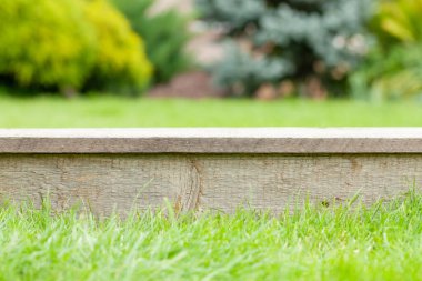 Açık bahçe bitkileriyle dolu boş bir tahta masa. Ürününüzü göstermek için şablon arkaplanı