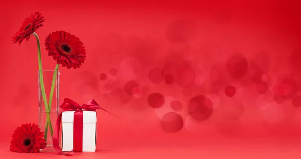 Valentinstag Grußkarte Mit Gerbera Blume Und Geschenkbox Vor Rotem Hintergrund — Stockfoto