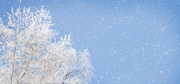 Vinter Blå Himmel Och Snöiga Träd Landskap Med Kopia Utrymme — Stockfoto