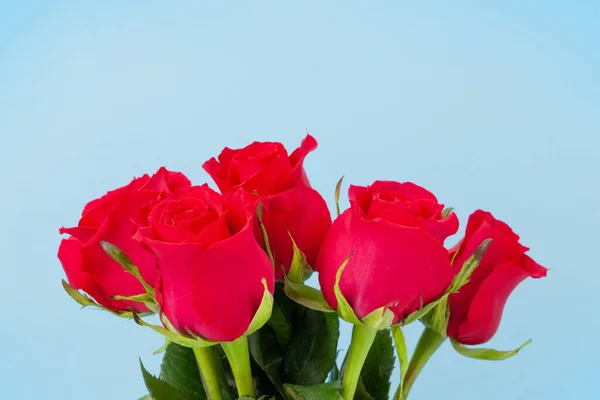 Carte Voeux Saint Valentin Avec Bouquet Fleurs Roses Rouges Avec — Photo