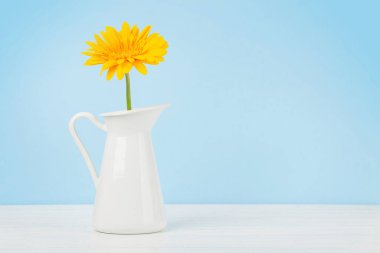 Mavi arka planda sarı gerbera çiçeği. Kopyalama alanı ile