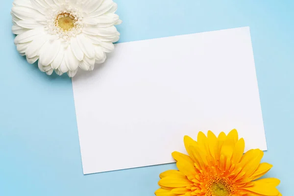 Kleurrijke Gerbera Bloemen Blauwe Achtergrond Bovenaanzicht Plat Lag Met Wenskaart — Stockfoto